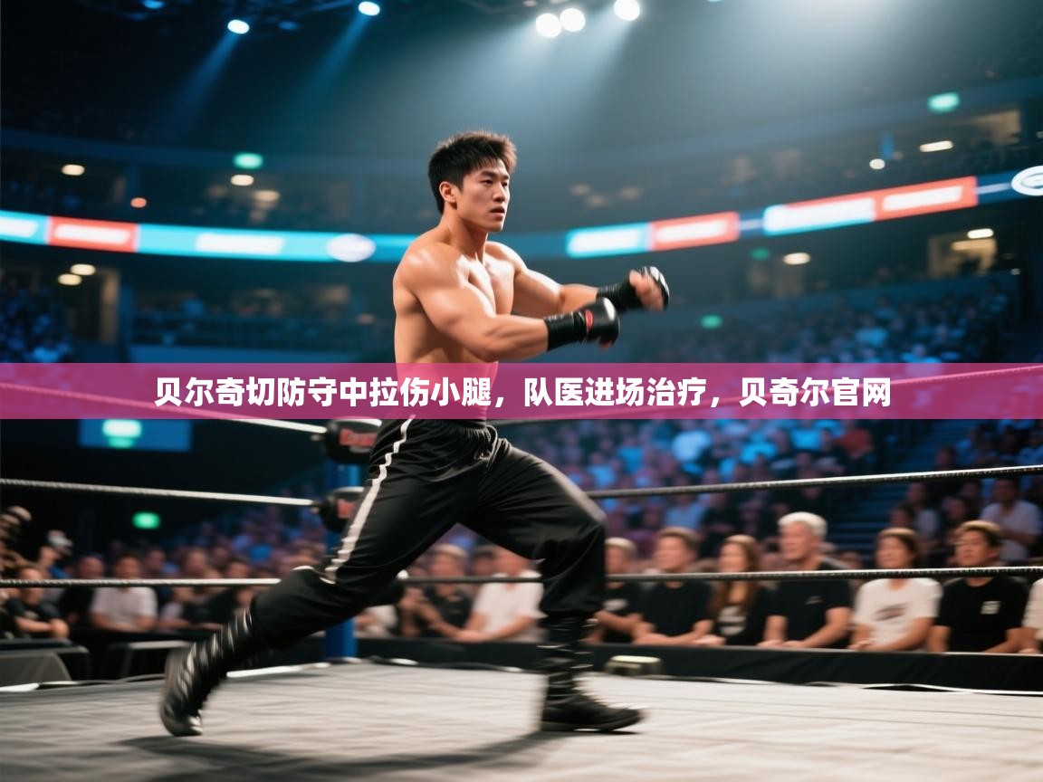 开云体育注册app-贝尔奇切防守中拉伤小腿,队医进场治疗,贝奇尔官网 第1张