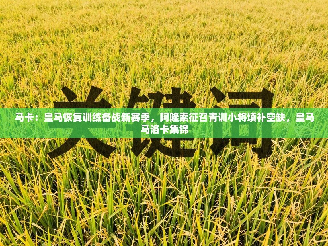 开云体育客服在线咨询-马卡：皇马恢复训练备战新赛季，阿隆索征召青训小将填补空缺，皇马马洛卡集锦  第2张