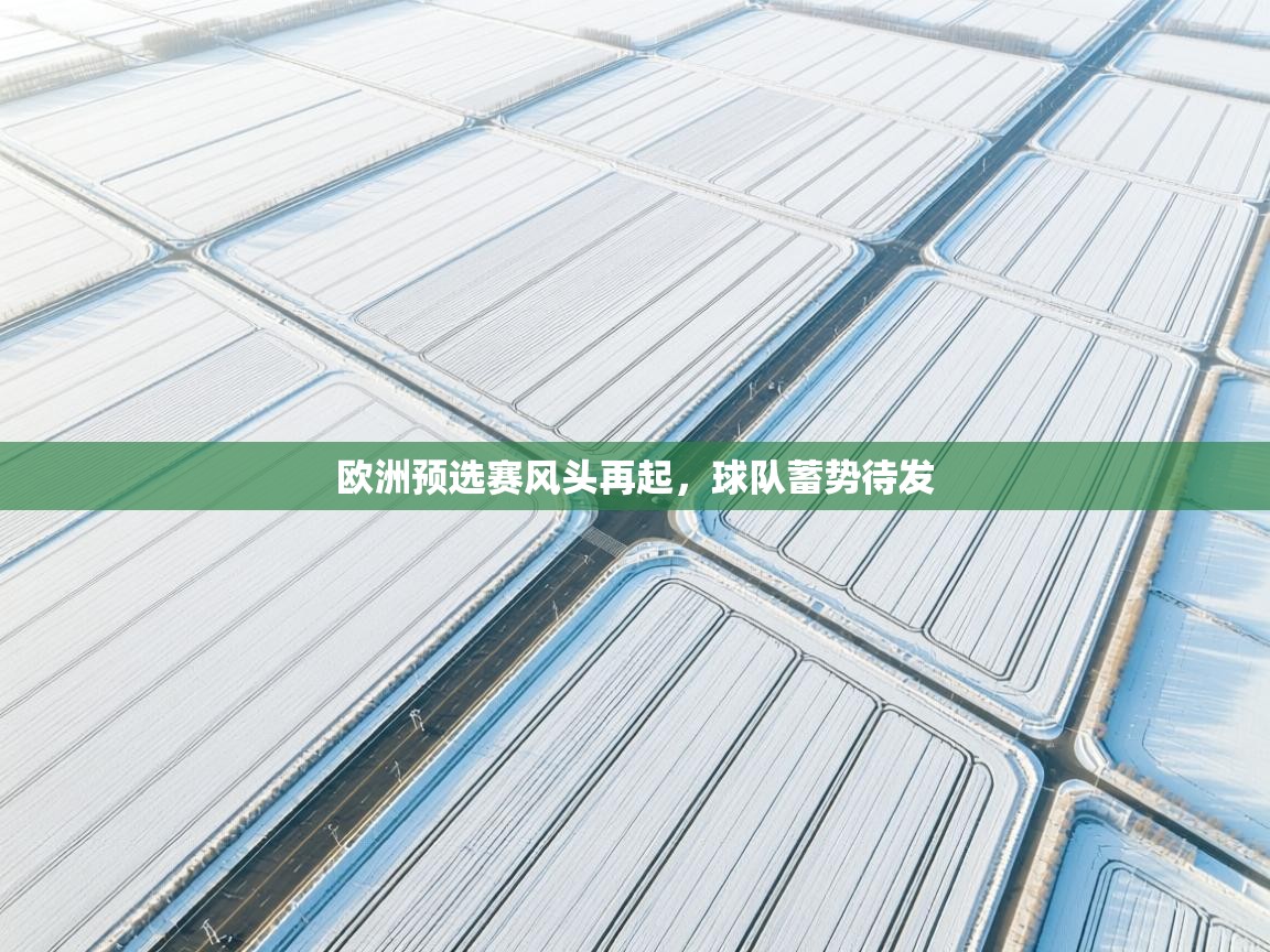 开云登录-欧洲预选赛风头再起，球队蓄势待发  第2张