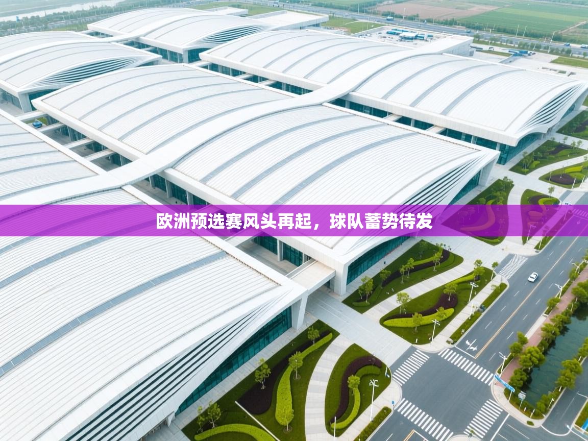 开云登录-欧洲预选赛风头再起，球队蓄势待发  第4张