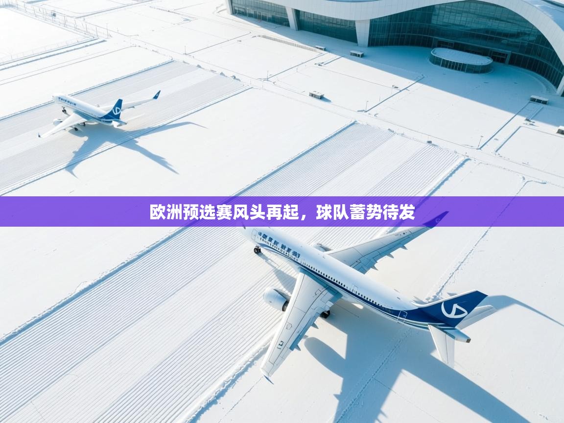 开云登录-欧洲预选赛风头再起，球队蓄势待发  第3张