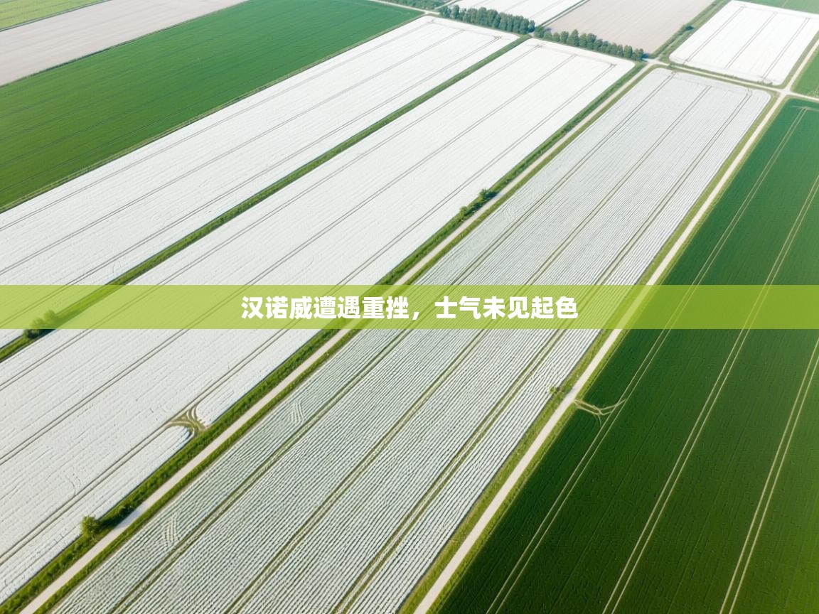 开云体育夜间模式开启-汉诺威遭遇重挫，士气未见起色  第2张