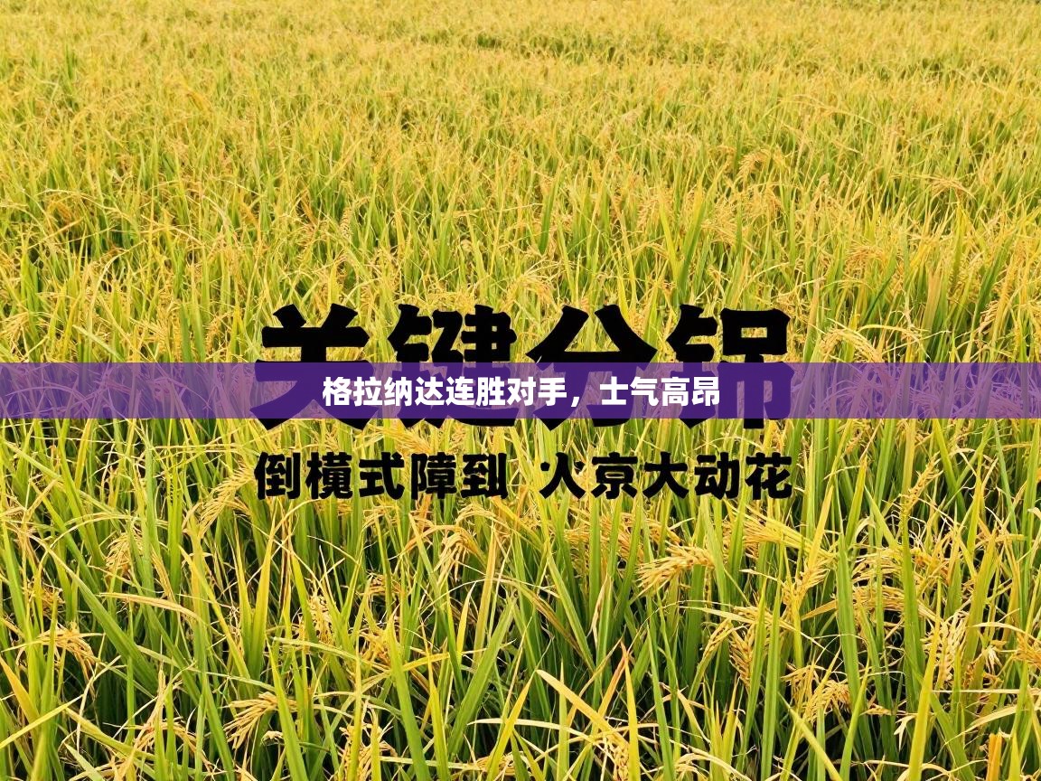 开云体育PC版网页版登录-格拉纳达连胜对手，士气高昂  第1张