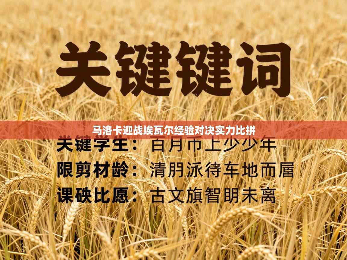开云体育在线登入-马洛卡迎战埃瓦尔经验对决实力比拼  第1张